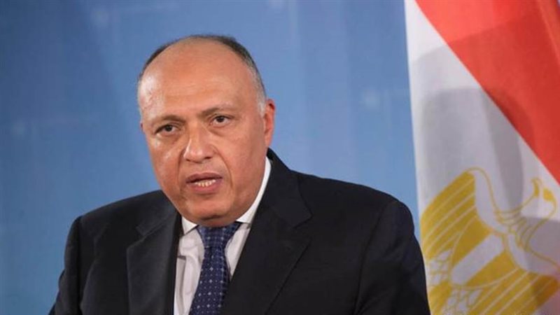 وزير الخارجية سامح