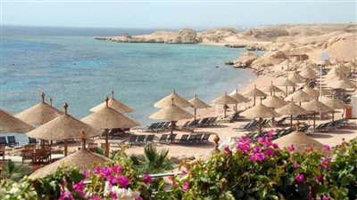  احتفالية كبرى اليوم لمبادرة 