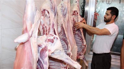 رئيس الإصلاح الزراعي: طرح اللحوم في منافذ الهيئة بسعر 110 جنيهات للكيلو