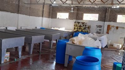 ضبط 720 كيلو جبن غير مطابقة للمواصفات بمصنع بالإسكندرية