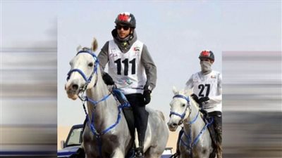 الفارس حمدان الكتبي يسعى لتنظيم بطولة القدرة والتحمل في مصر 