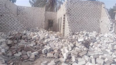  إزالة 103 حالات تعدٍّ على أراض زراعية وأملاك دولة بالواسطى