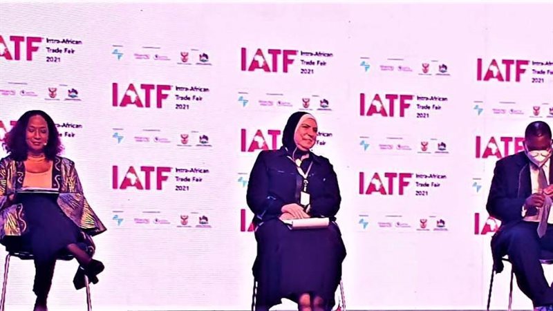 نيفين جامع وزيرة