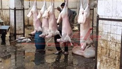 تطوير المجازر بالمنوفية بالتعاون بين الإسكان والطب البيطري