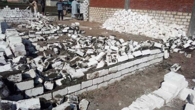 إزالة التعديات بالبحيرة