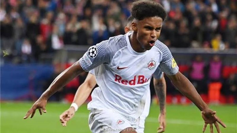 النجم الألماني كريم