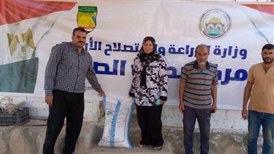 بحوث الصحراء يوزع تقاوي القمح مجانًا لمزارعي جنوب سيناء