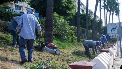 محافظ الإسكندرية يعلن إطلاق مسابقة لاختيار أجمل وأفضل حي من أحياء المحافظة