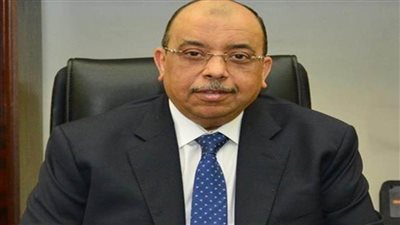 وزير التنمية المحلية يشيد بالتعاون بين الحكومة المصرية والبنك الدولي