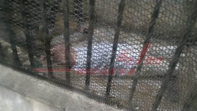 الأوقاف تعلن إنهاء خدمة إمام المسجد المتهم بهتك عرض طفلة بالدقهلية 