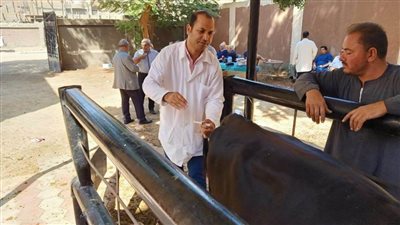 بدء الحملة القومية الثالثة لتحصين الماشية ضد الحمى القلاعية والوادي المتصدع بأسيوط