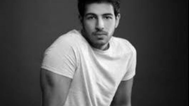 الفنان محمود عمرو