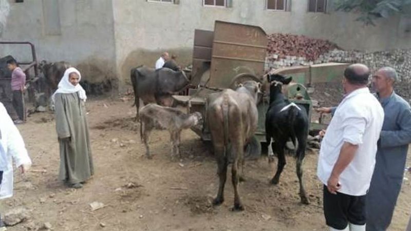 قافلة بيطرية مجانية