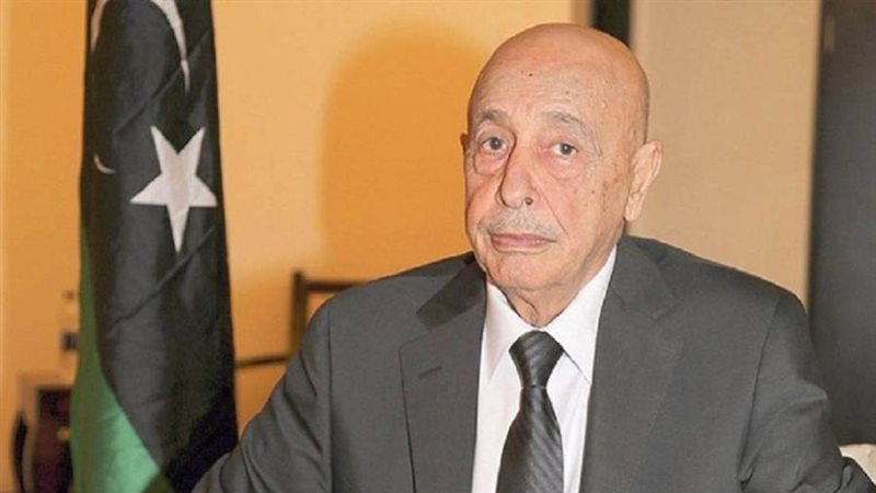 رئيس مجلس النواب