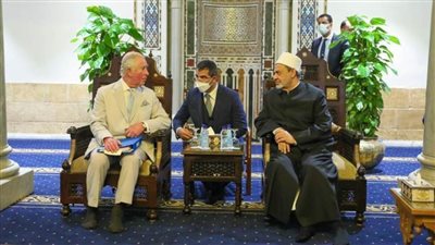 الإمام الأكبر والأمير تشارلز يناقشان أزمة تغير المناخ والحلول الممكنة لمواجهتها