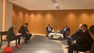 شكري يبحث مع نظيره القبرصي الارتقاء بالعلاقات الثنائية