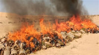 الداخلية توجه ضربة قاسمة لمافيا المخدرات.. إليك التفاصيل