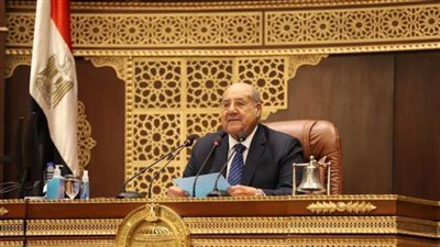 رئيس مجلس الدوما الروسي يبحث مع رئيس مجلس الشيوخ تعزيز التعاون البرلماني