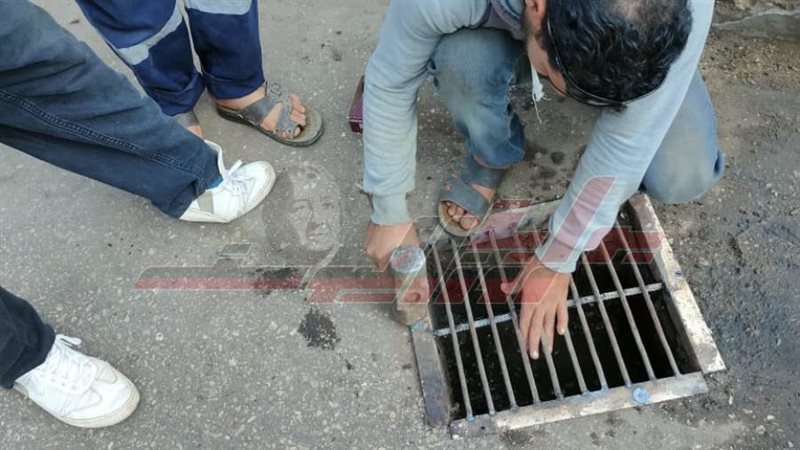 تركيب الصفيات