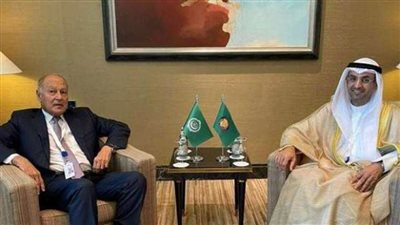 أبو الغيط يبحث مع أمين 