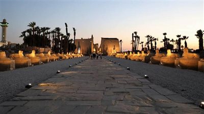 برلماني: مشروع إحياء طريق الكباش حدث تاريخي يعيد الأقصر لبريقها