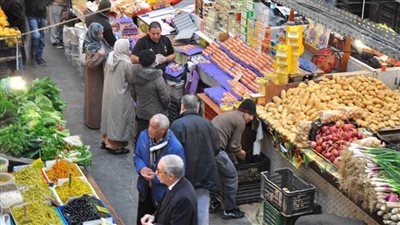 مباحث التموين تضبط 50 طن بطاطس فاسدة قبل ترويجها بالأسواق