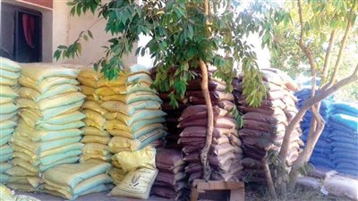 الزراعة تبدأ تسليم الأسمدة المدعمة للمزارعين بالأسعار الجديدة 