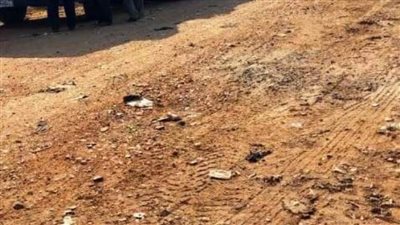 رفع 189 طنًا من القمامة والمخلفات بالشرقية 