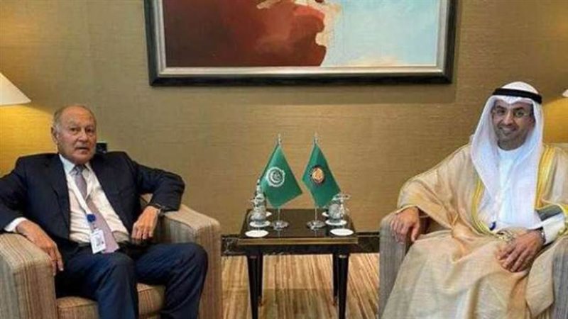 أبو الغيط يبحث مع