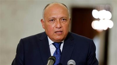 شكري يعقد غدًا مباحثات مع المبعوث الأممي إلى اليمن