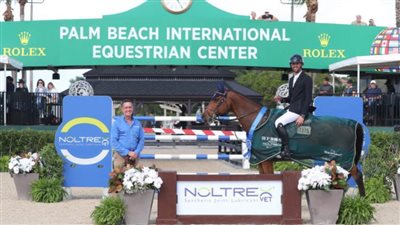 نايل نصار يتوج بلقب الجائزة الكبرى للفروسية