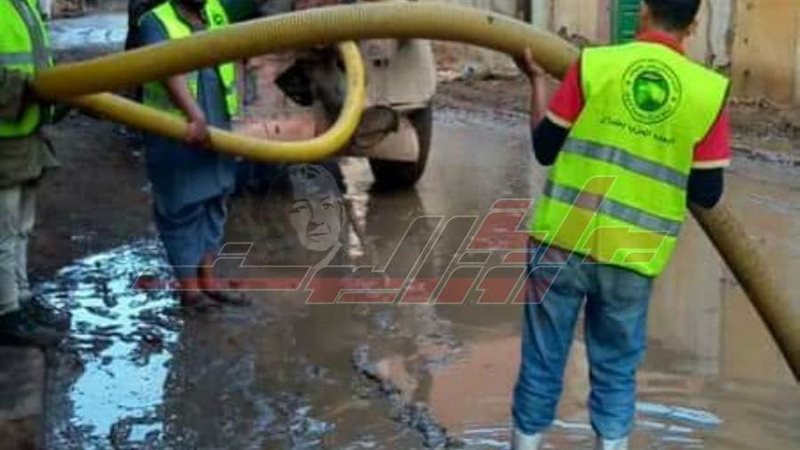 شباب مستقبل وطن