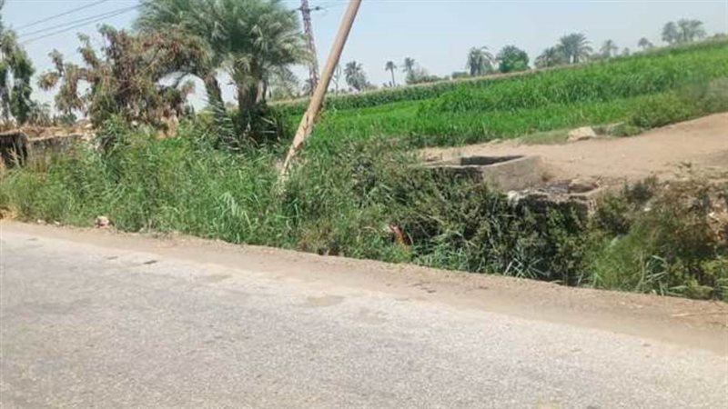 اعمدة مائلة