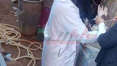 تطهير 8 أسواق و17 رياشة بمحافظة كفرالشيخ