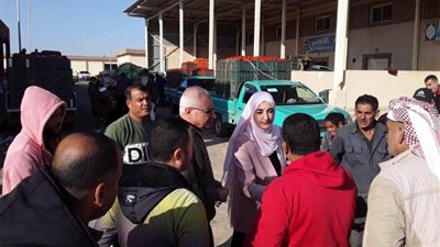 مديرة تموين شمال سيناء: توافر الخضروات والفاكهة بأسعار مناسبة  