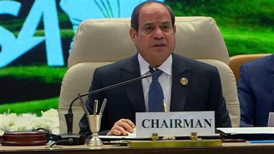 الرئيس السيسي: جائحة كورونا أثرت مباشرة على صحة وحياة المواطنين وعلى كل القطاعات