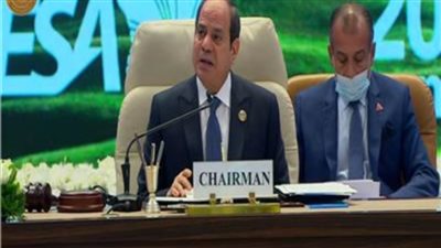 الرئيس السيسي: علينا استغلال 