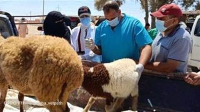 قافلة بيطرية ضمن