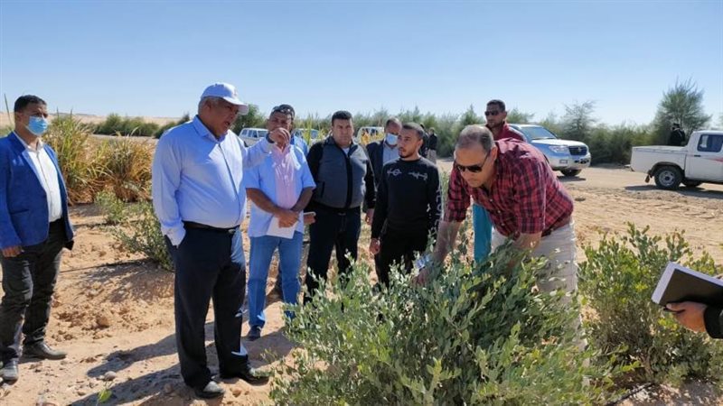 محافظ الوادى الجديد