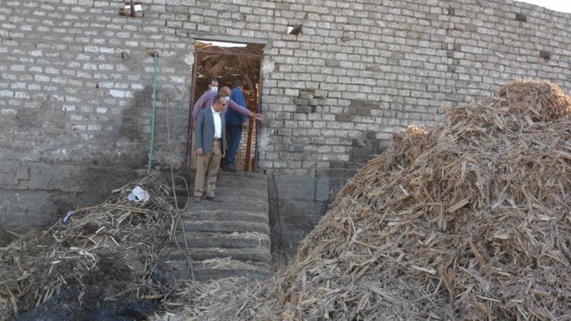 نائب محافظ المنيا