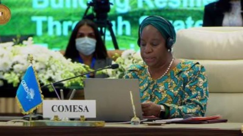 السكرتير العام للكوميسا