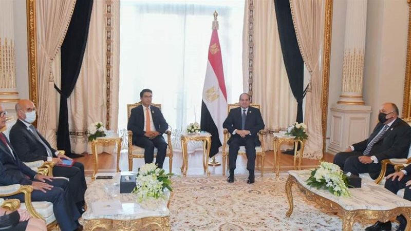 الرئيس السيسي يلتقى