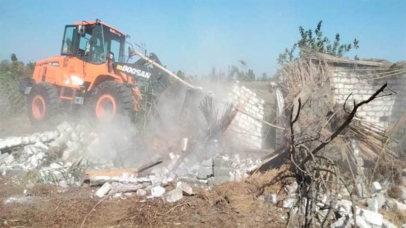 صورة أرشفيه