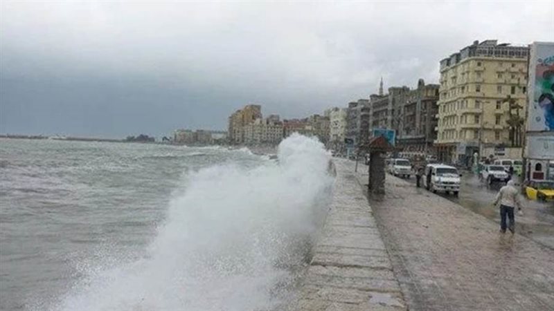 النوات في الإسكندرية