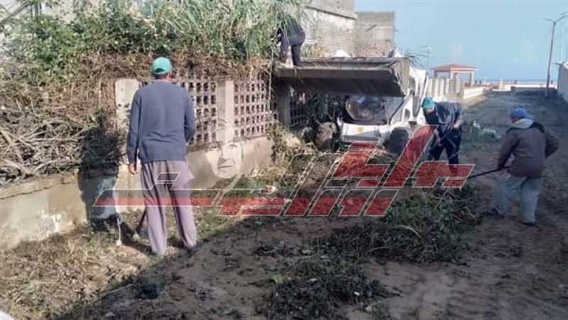 تهذيب الأشجار