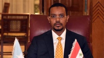 سفير الصومال بالقاهرة يشيد بالحفل الأسطوري لافتتاح طريق الكباش بالأقصر