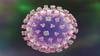 الصحة: تسجيل 899 حالة إيجابية جديدة بفيروس كورونا.. و63 وفاة