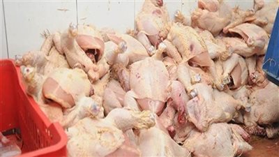 ضبط 20 طن لحوم فاسدة في 3 ثلاجات ومصنعين ومجزر بالقليوبية 