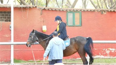 اليوم انتخابات نادي الفروسية بالجزيرة