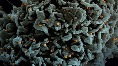 الصحة الأوروبية: خطر انتشار المتحور الجديد لكورونا 